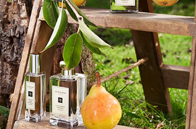 Jo Malone London セント サラウンド ディフューザー 165mL（公式画像）