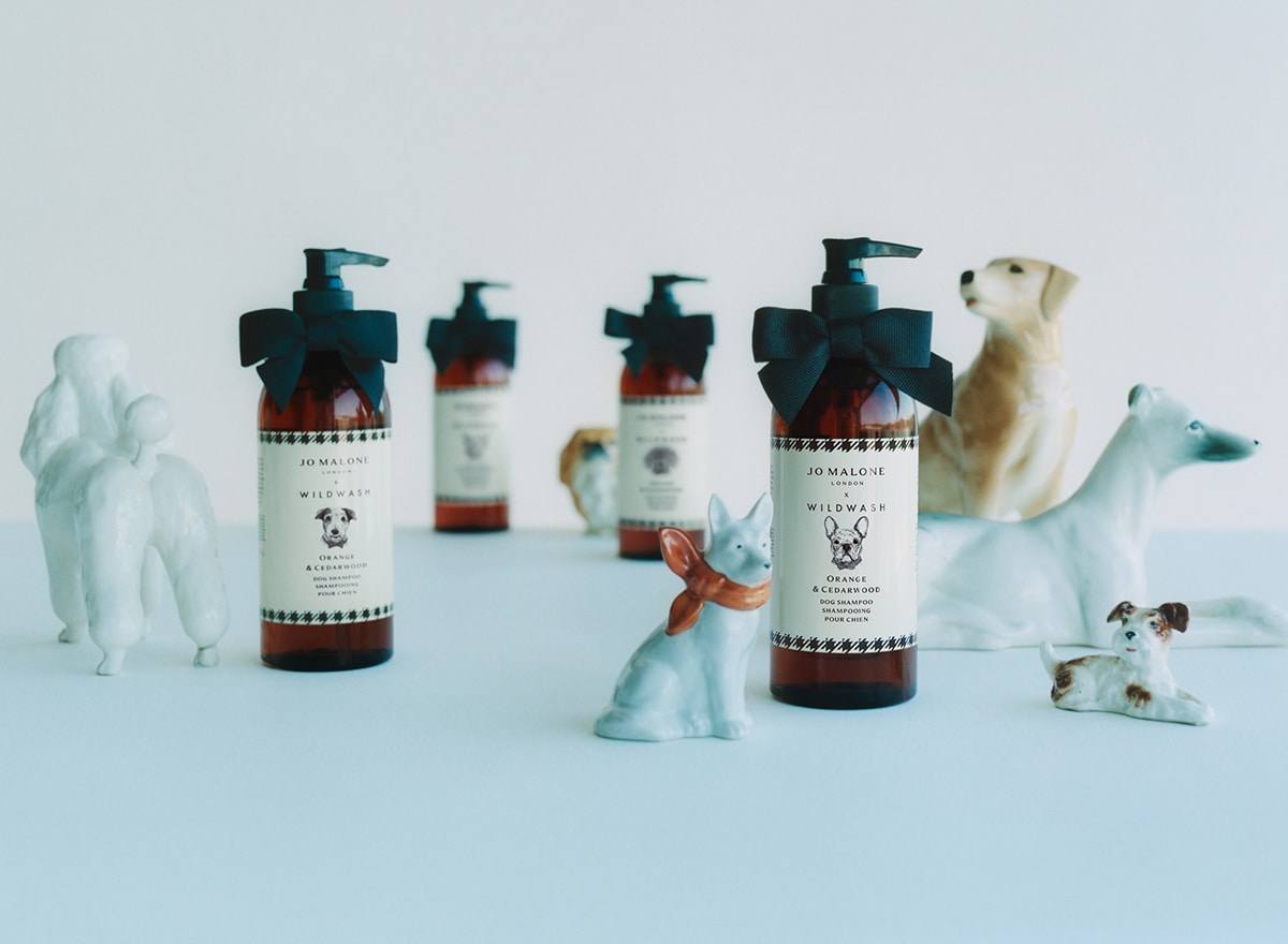 Tom Hardy washing Blue Hardy, his french bulldog, with Jo Malone London Wildwash Dog Shampoo.