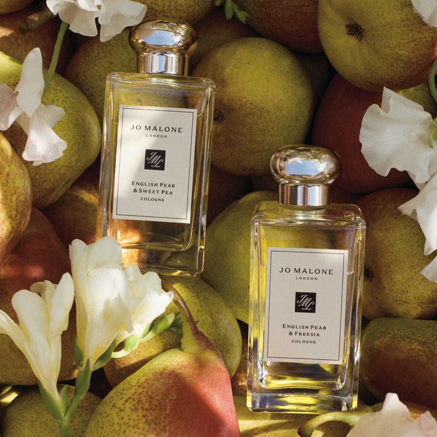 イングリッシュ ペアー コレクション | ジョー マローン ロンドン