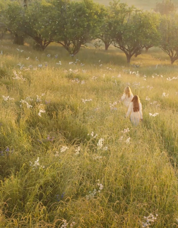 イングリッシュ ペアー ＆ スイート ピー ハンド クリーム 限定