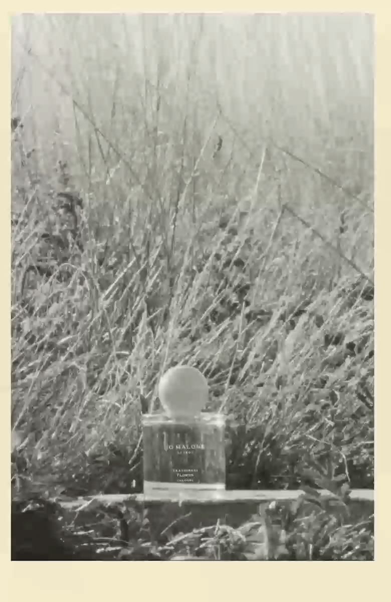 フランジパニ フラワー コロン | ジョー マローン ロンドン Jo Malone