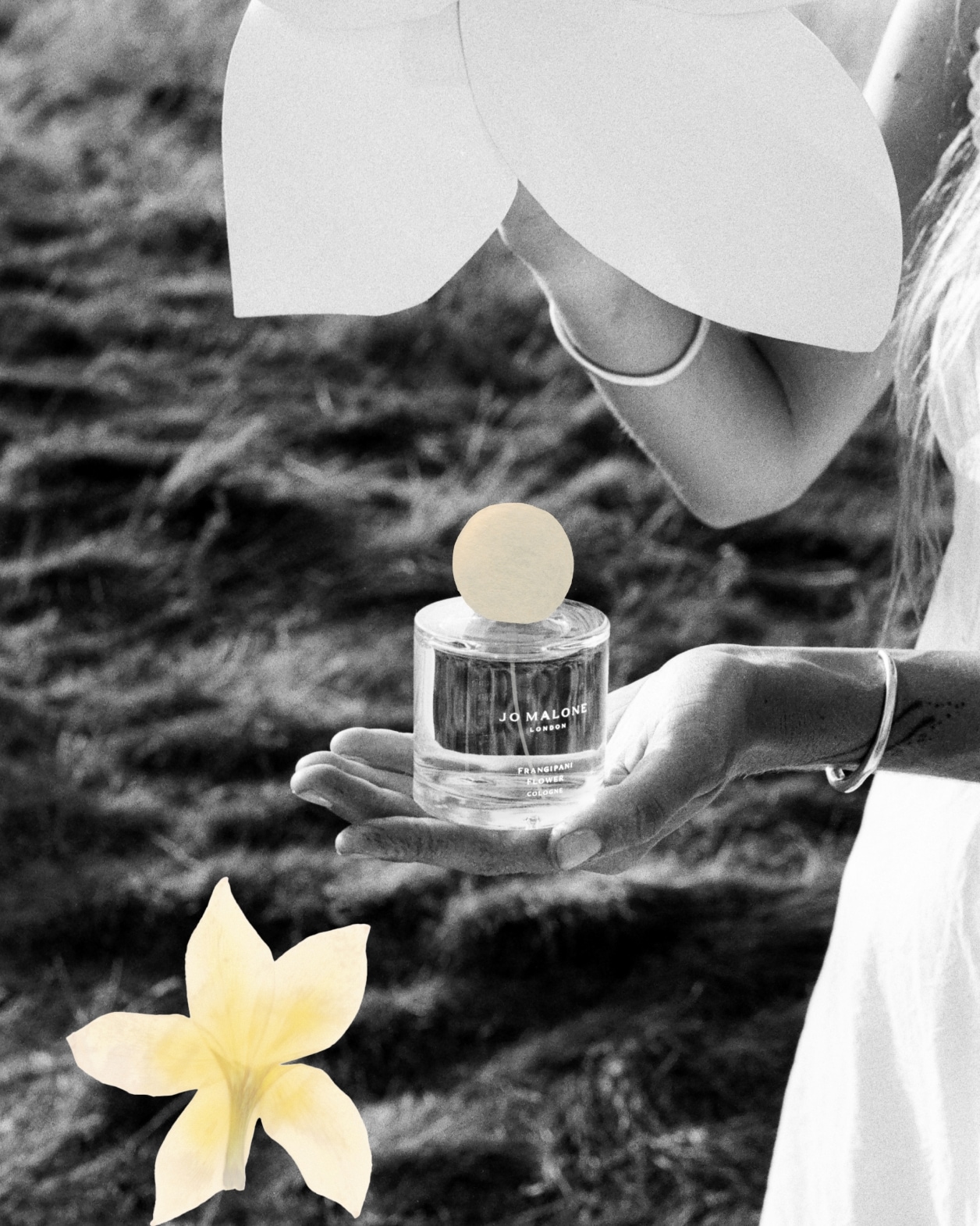 週末限定値下げ❗️Jo Malone フランジパニ フラワー コロン 100ml 90124-62-