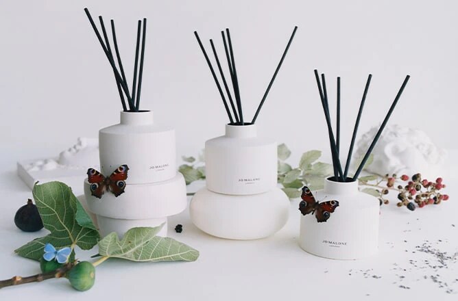 緑林シリーズ 未使用品 ジョーマローン グリーントマト バイン タウン