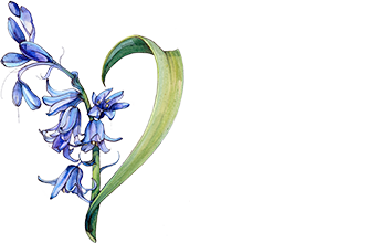 Blue　半分使用限定品ジョーマローン ガーデニア & ウード Blue様専用 半分使用限定品ジョーマローン ガーデニア & ウード